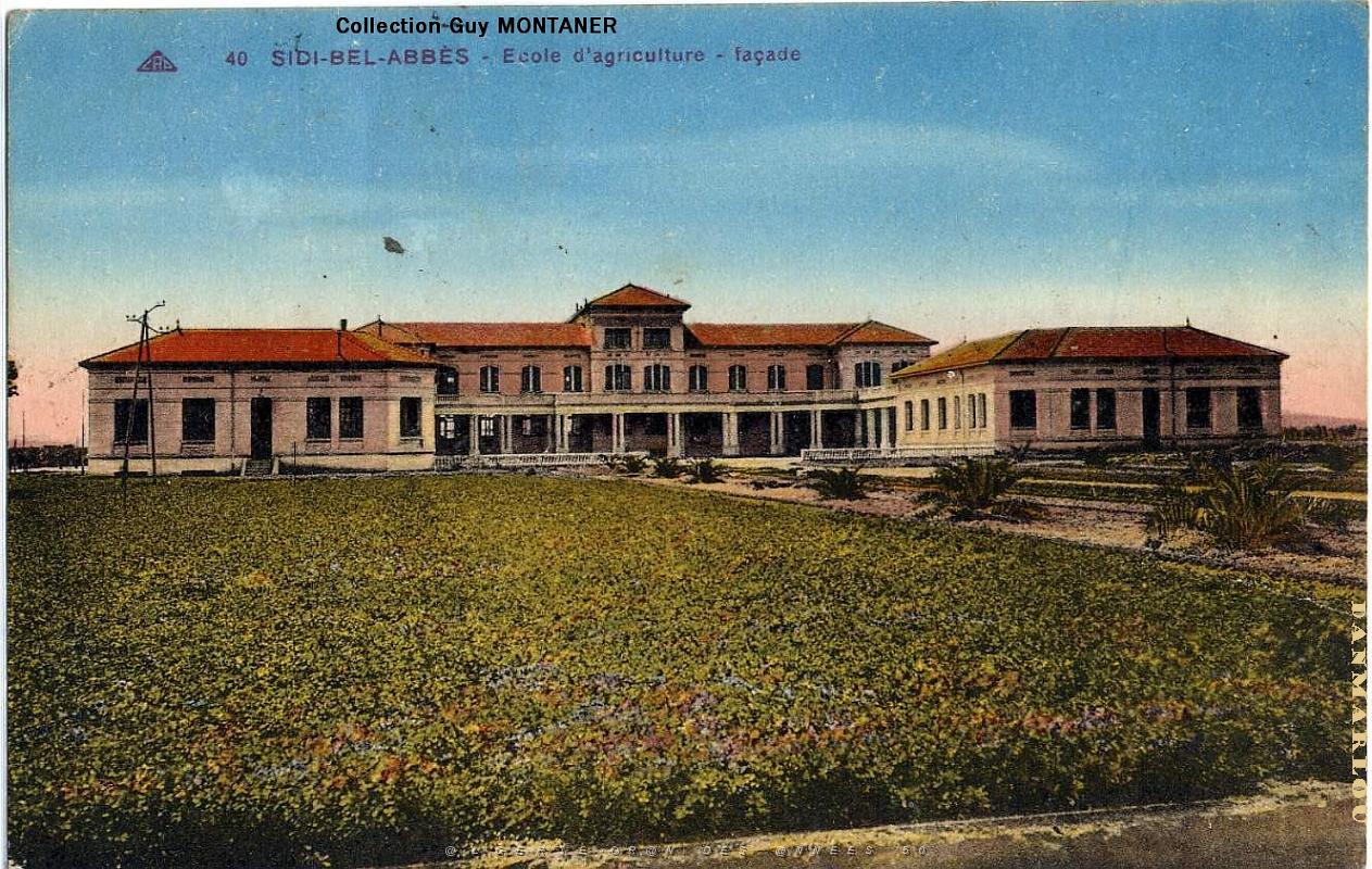 Sidi bel abbes 045- C Montaner_2.JPG